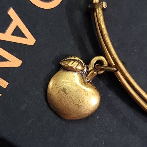 Alex and Ani Apple of Abundance Charm Bracelet - Picture 5 of 11